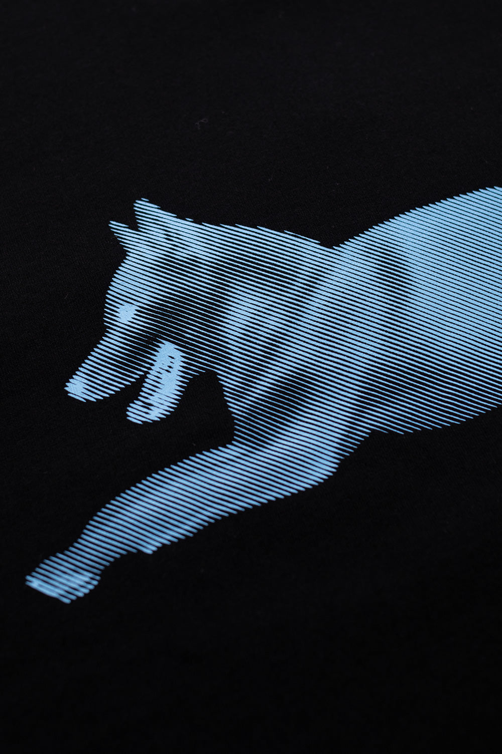 Cooles IceCream Running Dog T-Shirt in Schwarz – Halftone Print auf der Brust und Nacken für einen modernen Touch.