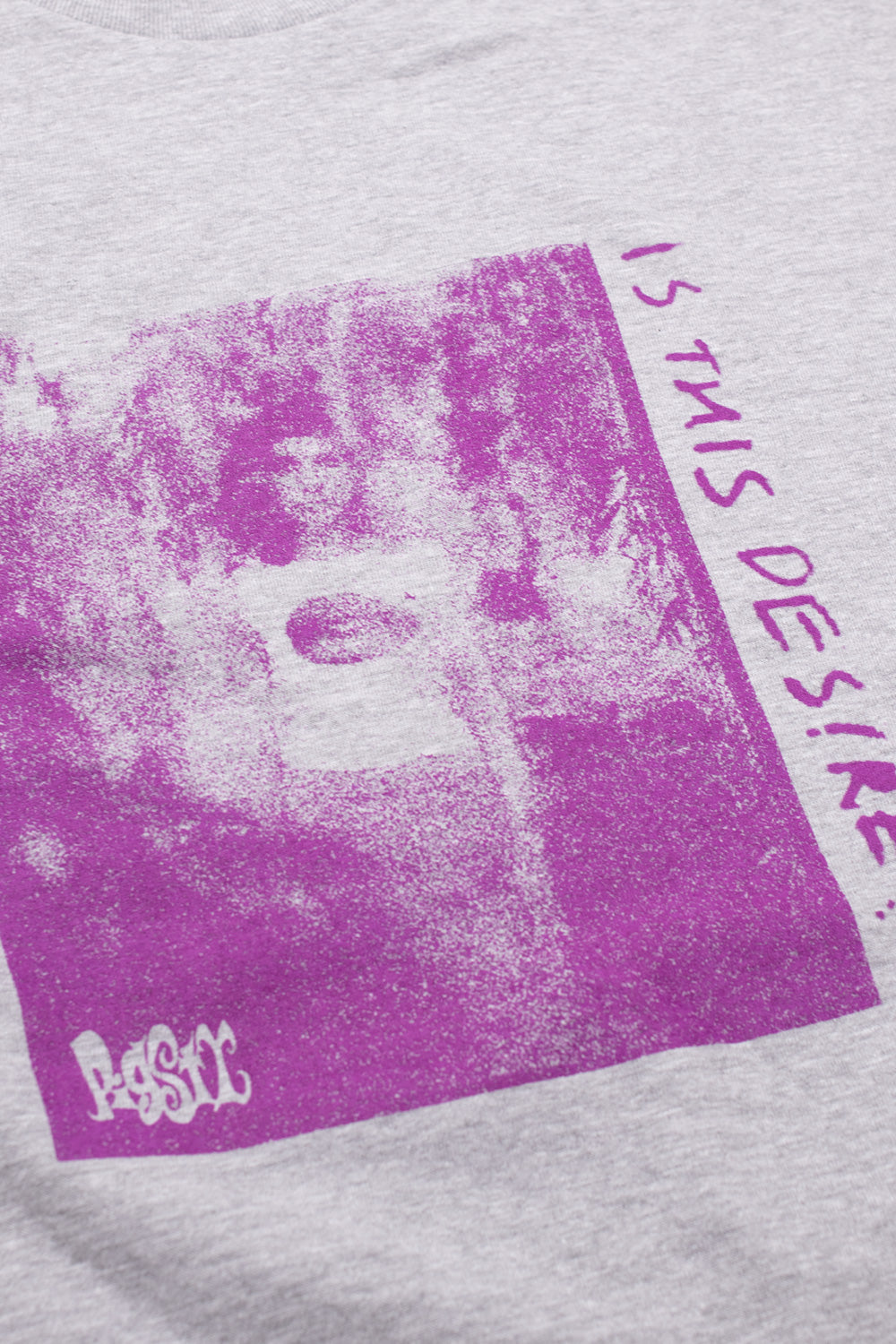 "Pigsty Desire T-Shirt – Graues Kurzarmshirt mit auffälligem Design"