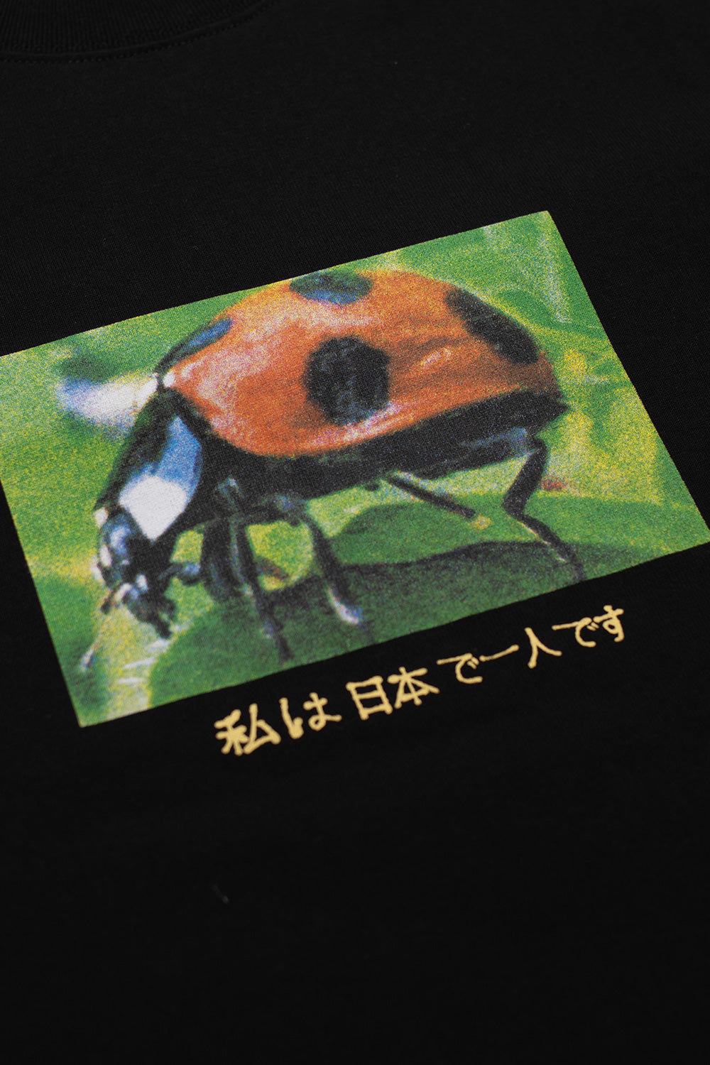 Polar Skate Co. Ladybug T-Shirt Black - BONKERS