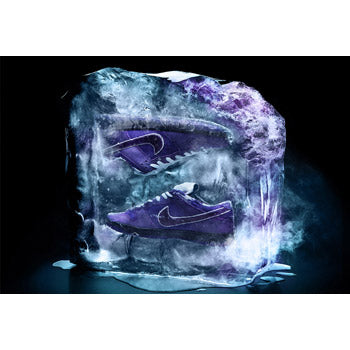 Nike SB X Concepts (The Purple Lobster Dunk)