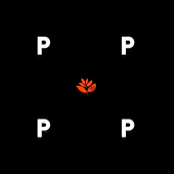 Magenta x Pop Trading Company