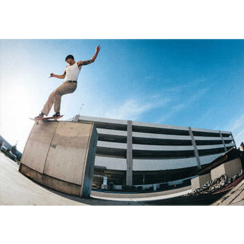 Vans Elijah Berle Pro