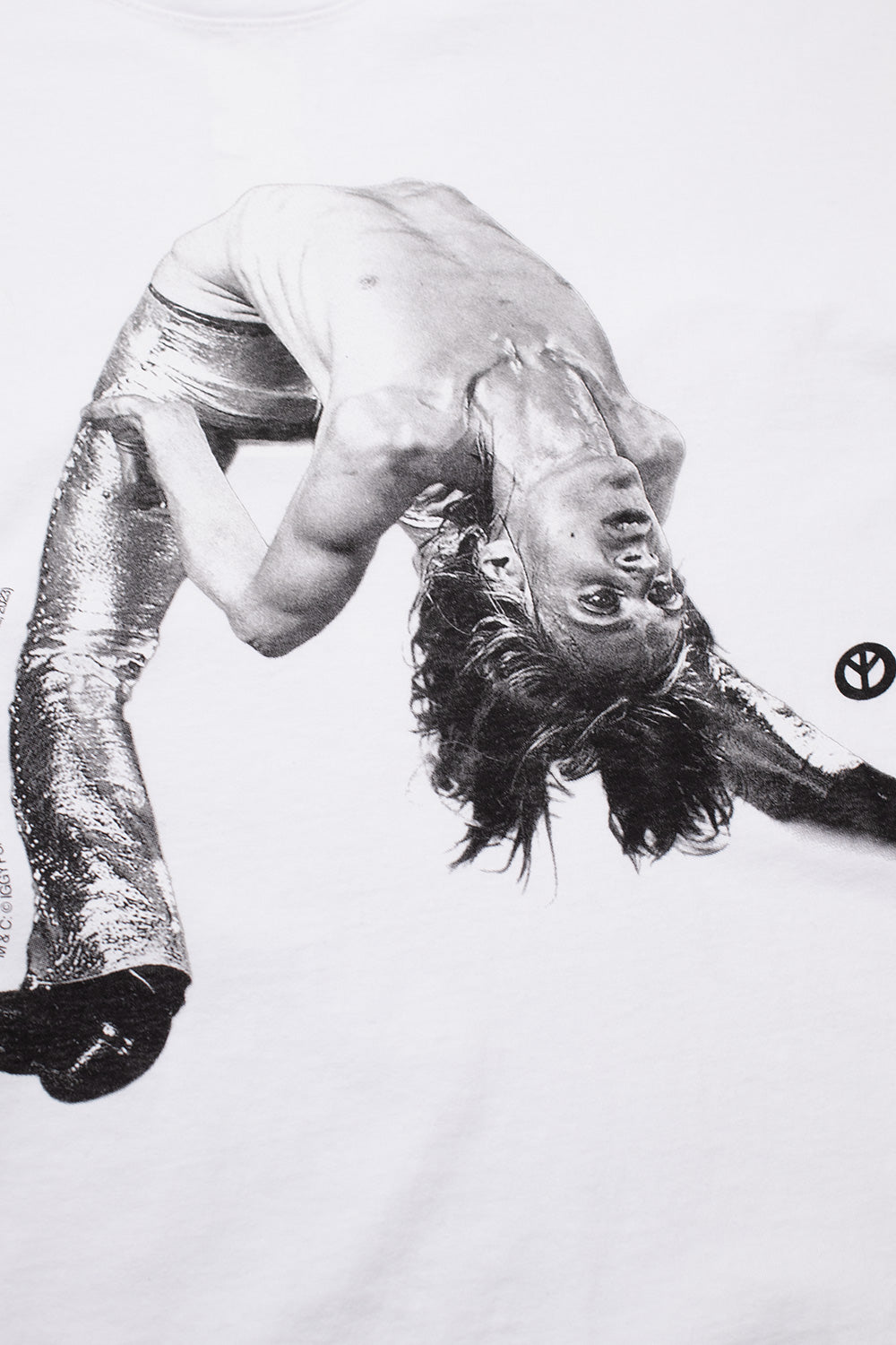 Close-up of Babylon LA x Iggy Pop white graphic t-shirt with legendary live performance photo print, premium 6 oz cotton punk skateboarding apparel