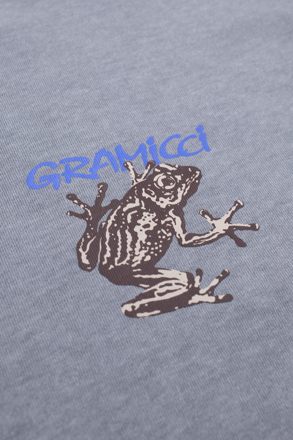 Gramicci Sticky Frog T-Shirt Slate Pigment - BONKERS